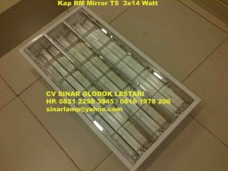 Kap RM Mirror T5 LUX 3 x 14 Watt